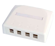 ROSETA 4 PORT BLANCA